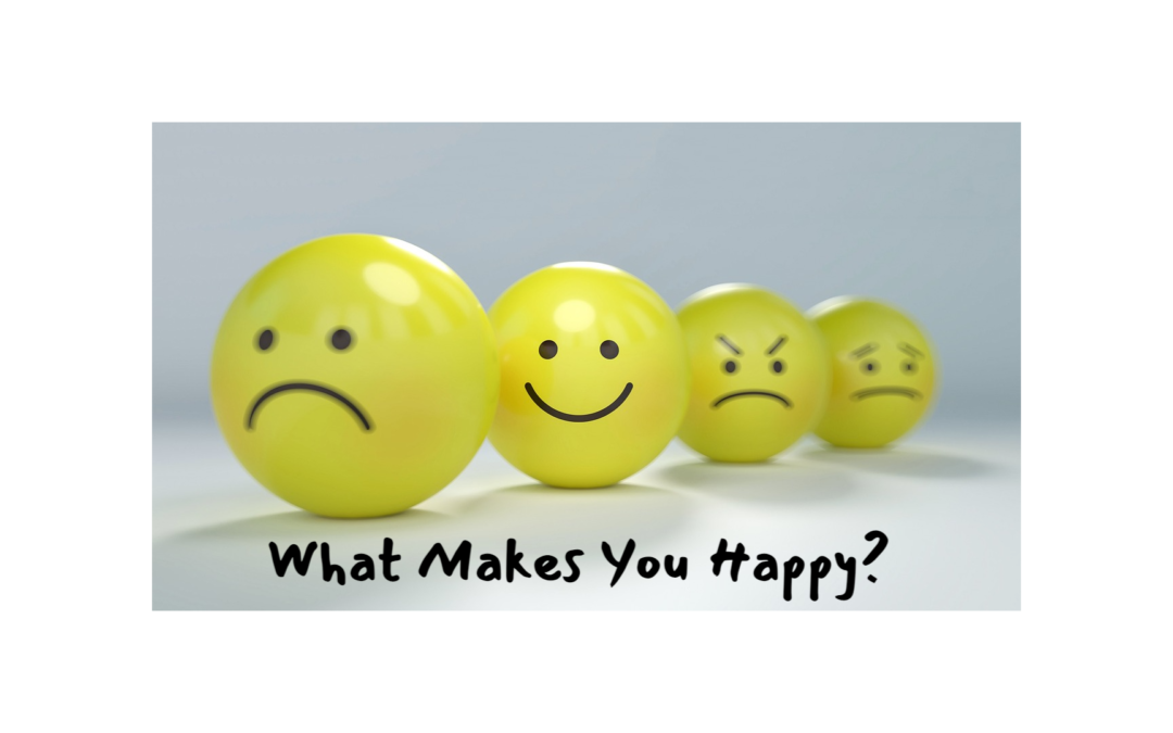 What Makes You Happy?